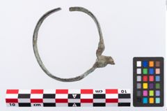 Foto von Bronzearmreif (NHMW-PRAE-001398)